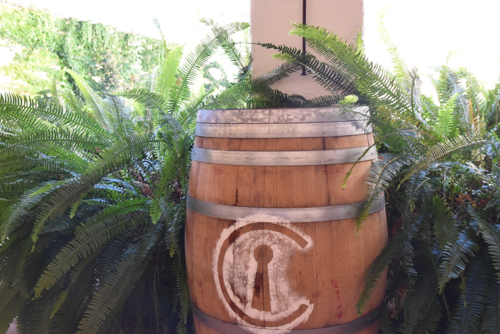 Vinea Clausa Bodega - Fuenterrobles