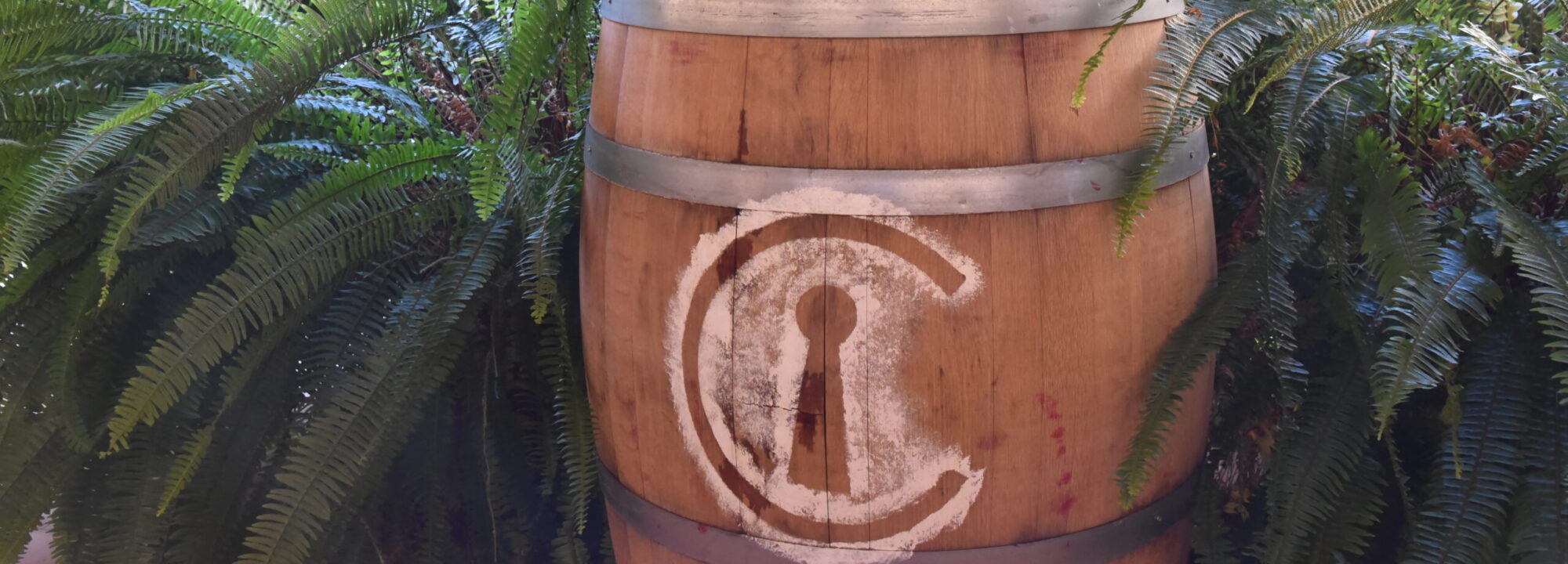 Vinea Clausa Bodega - Fuenterrobles