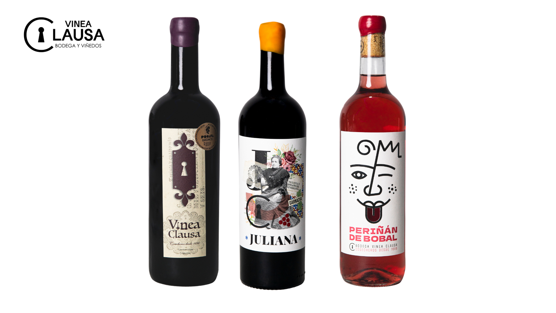 Vinea Clausa Bodega - Fuenterrobles