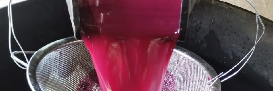 Vinea Clausa Bodega - Fuenterrobles