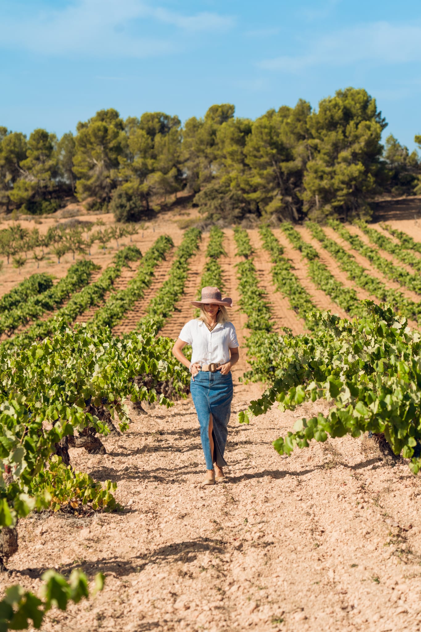 Enoturismo - Vinea Clausa Bodega - Fuenterrobles